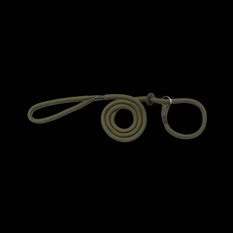 Bisley Basic Dog Slip Lead Green - Image 1