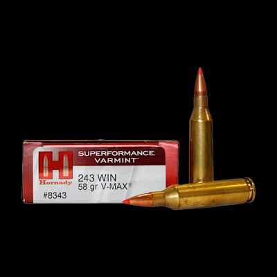 Buy Hornady 243 Varmint V Max 58G at Shooting Supplies