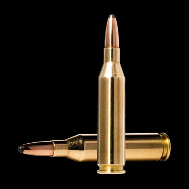 Norma Whitetail 243 Sp 100G - Image 1