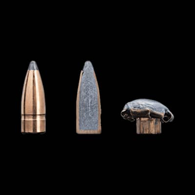 Sako .22-250 Gamehead 55Gr SP 110G