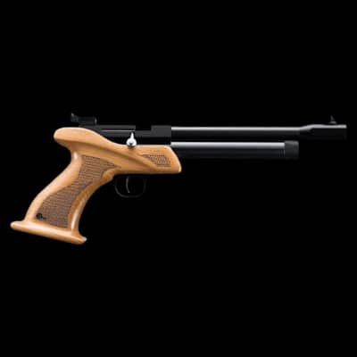 SMK Victory CP1 Single Shot Air Pistol .22